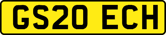 GS20ECH