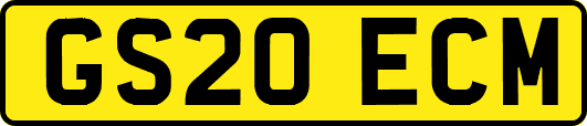 GS20ECM