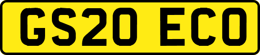 GS20ECO