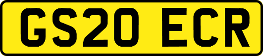 GS20ECR