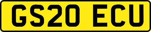 GS20ECU