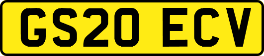 GS20ECV
