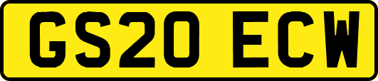 GS20ECW