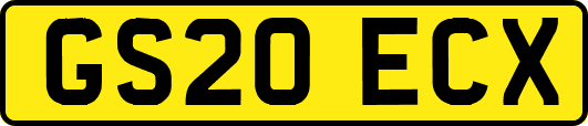 GS20ECX
