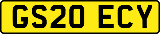 GS20ECY
