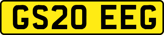GS20EEG