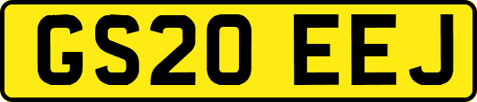GS20EEJ