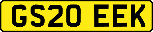 GS20EEK