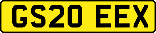 GS20EEX