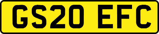 GS20EFC