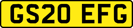 GS20EFG