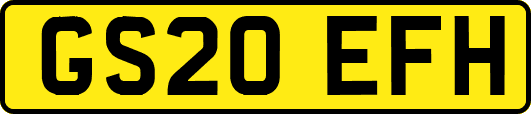 GS20EFH