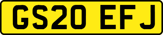 GS20EFJ
