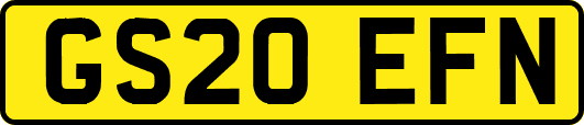 GS20EFN