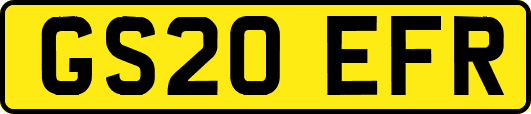 GS20EFR