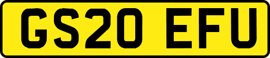 GS20EFU