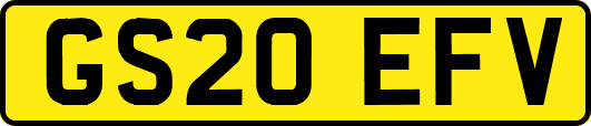 GS20EFV