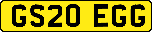 GS20EGG