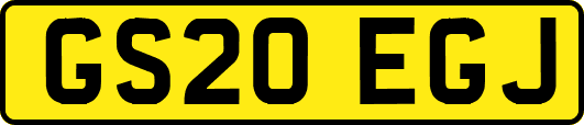 GS20EGJ