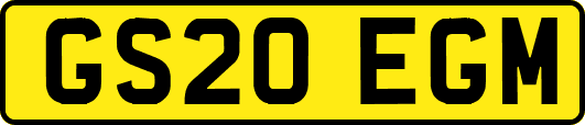 GS20EGM