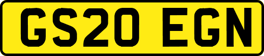 GS20EGN