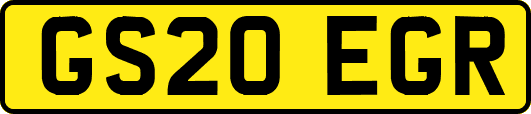 GS20EGR