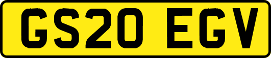 GS20EGV