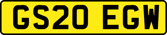 GS20EGW