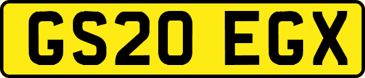 GS20EGX