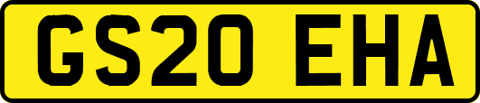 GS20EHA