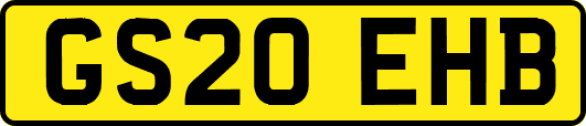 GS20EHB