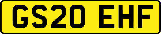GS20EHF