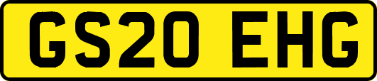 GS20EHG