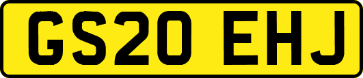 GS20EHJ