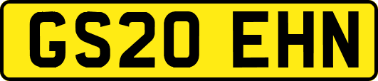 GS20EHN