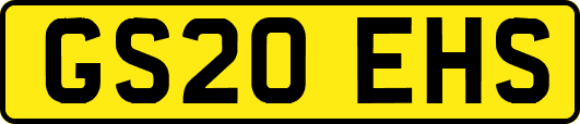 GS20EHS