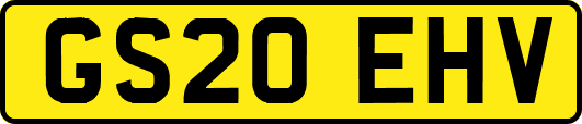 GS20EHV