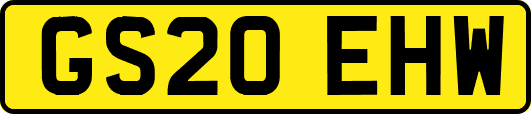 GS20EHW