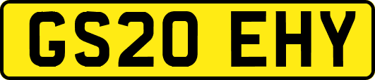 GS20EHY