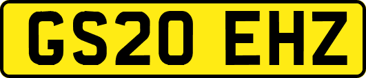 GS20EHZ