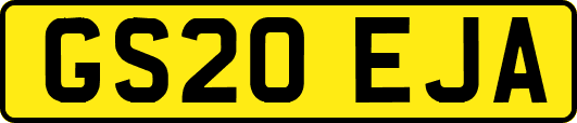 GS20EJA