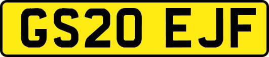 GS20EJF
