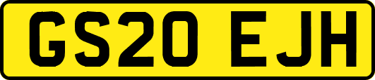 GS20EJH