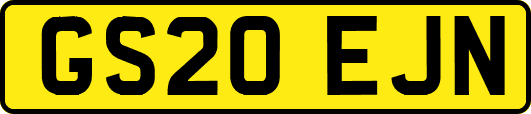 GS20EJN