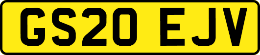 GS20EJV