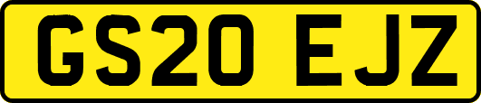 GS20EJZ
