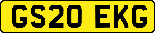 GS20EKG