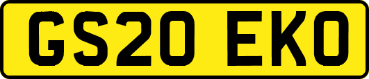GS20EKO
