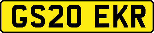 GS20EKR
