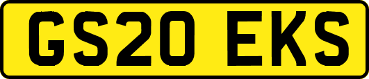 GS20EKS
